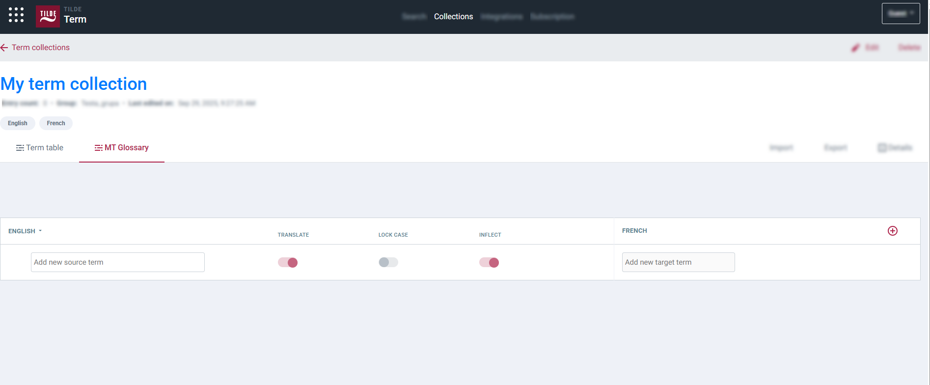 The MT Glossary before adding first terms.