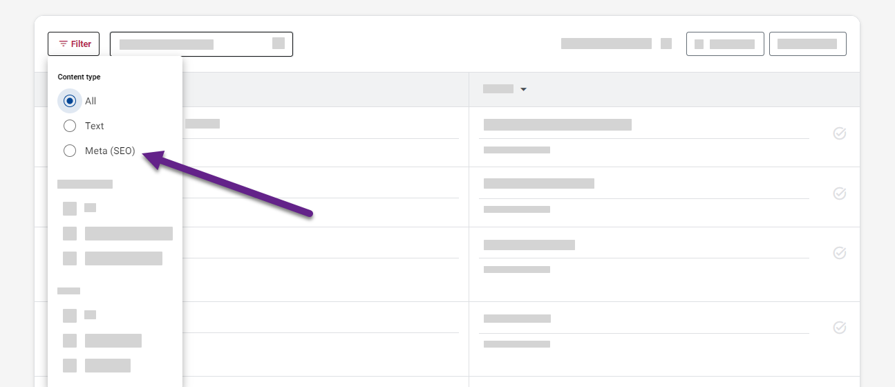 SEO tag filtering
