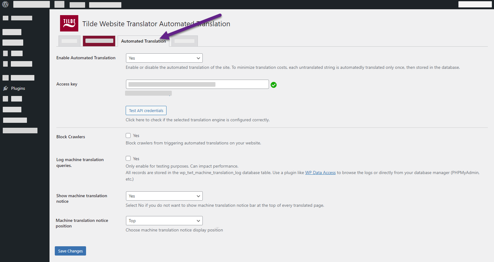 automated translation settings